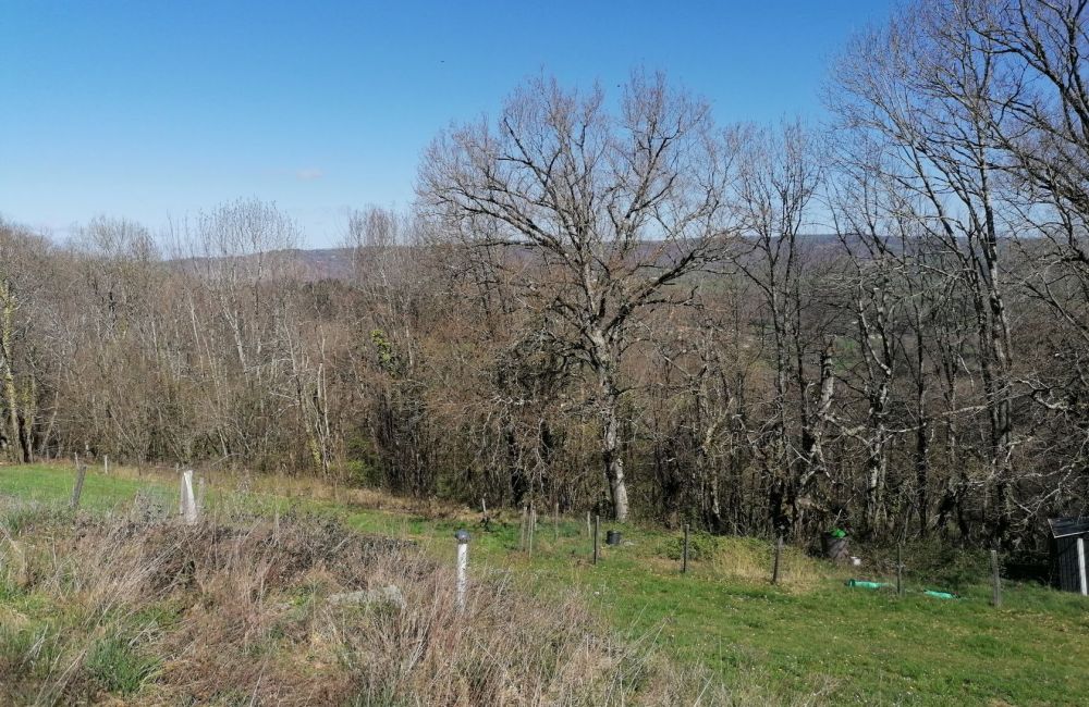 Vente terrain AUZITS Aveyron