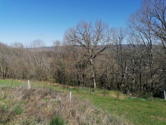 Vente terrain AUZITS Aveyron